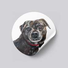 Load image into Gallery viewer, Custom Pet Stickers