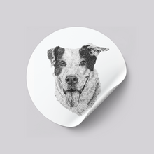 Load image into Gallery viewer, Custom Pet Stickers