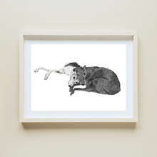 Load image into Gallery viewer, Black & White Stippling Drawing Pet Portrait - Mahnie Amato
