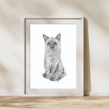Load image into Gallery viewer, Black & White Stippling Drawing Pet Portrait - Mahnie Amato