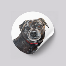 Load image into Gallery viewer, Custom Pet Stickers
