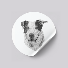 Load image into Gallery viewer, Custom Pet Stickers
