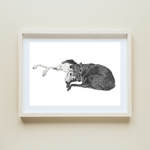 Load image into Gallery viewer, Black &amp; White Stippling Drawing Pet Portrait - Mahnie Amato
