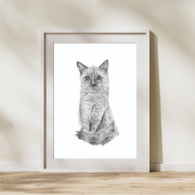 Load image into Gallery viewer, Black &amp; White Stippling Drawing Pet Portrait - Mahnie Amato
